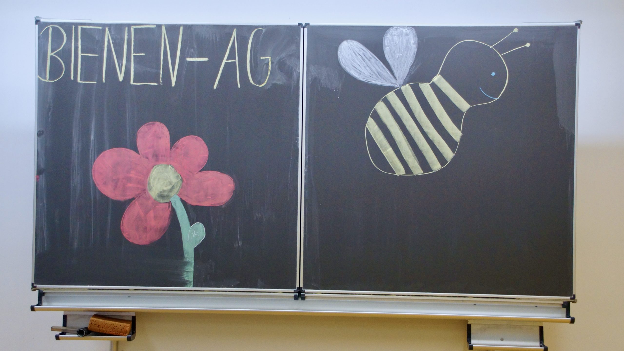 Bienen AG Ausstellung