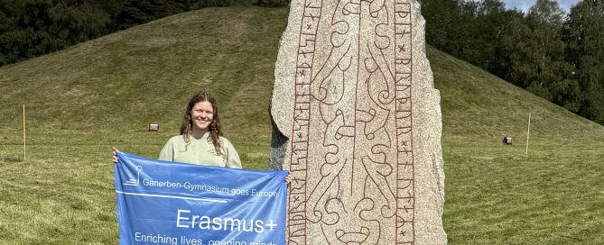 Schülerin vor Runenstein