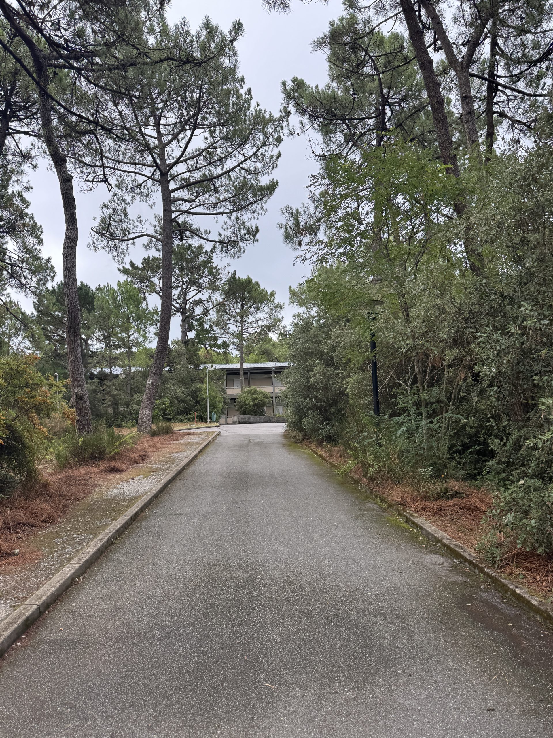 Erasmus Bild der Schule