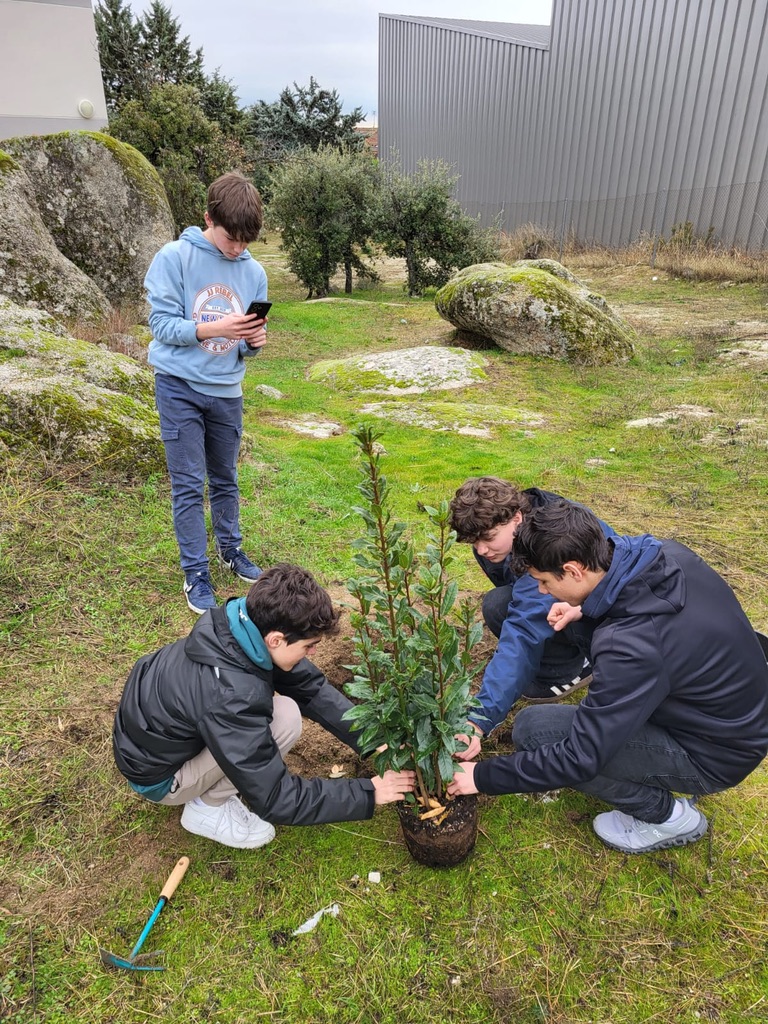 FACFA257-75B6-4FD3-8A11-DCCAB4F8FEA7_1_105_c