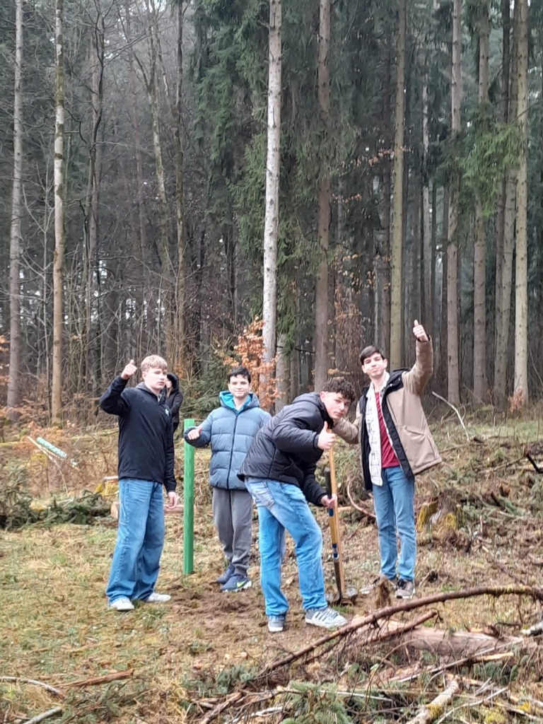 Schüler im Wald
