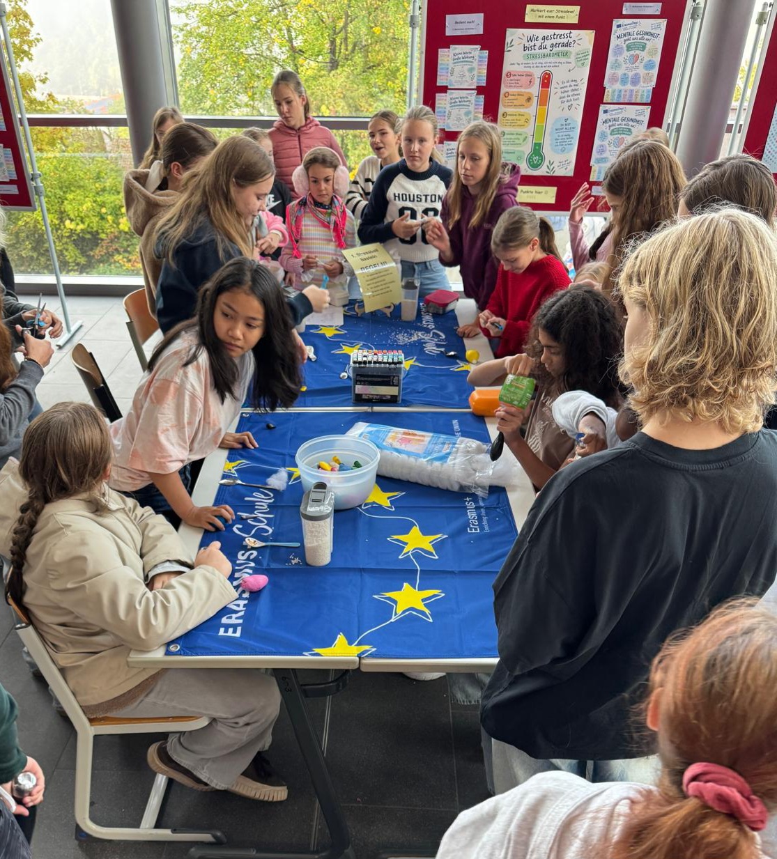 2026-ErasmusDays-Ganerben-Gymnasium-Stressbälle