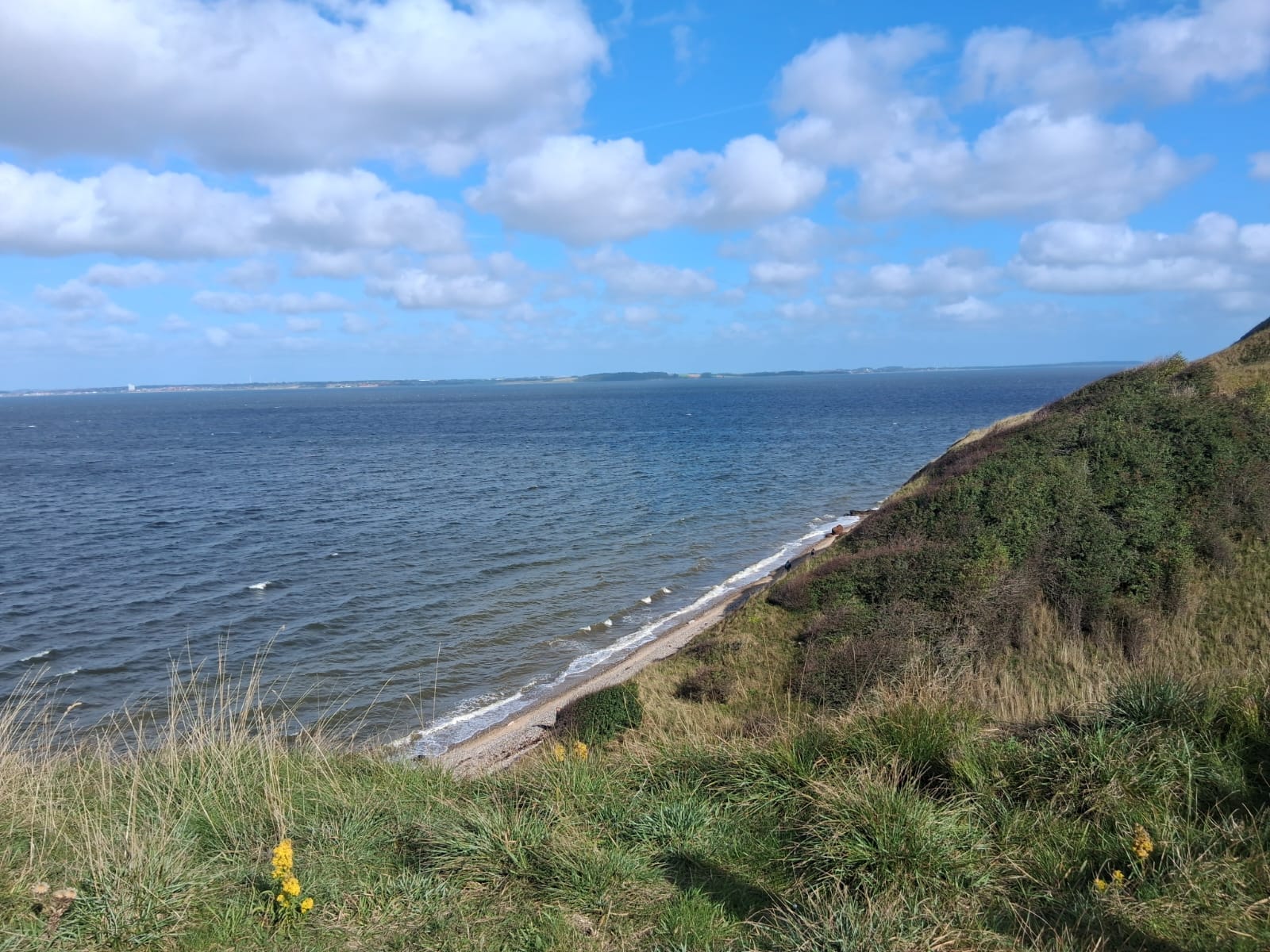 IMG-20260919-WA0100